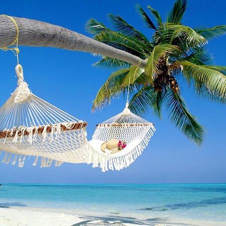 Affordable Two Bedroom Tropical Condo - Private Beach, Pools, Hot Tub San Petersburgo Exterior foto
